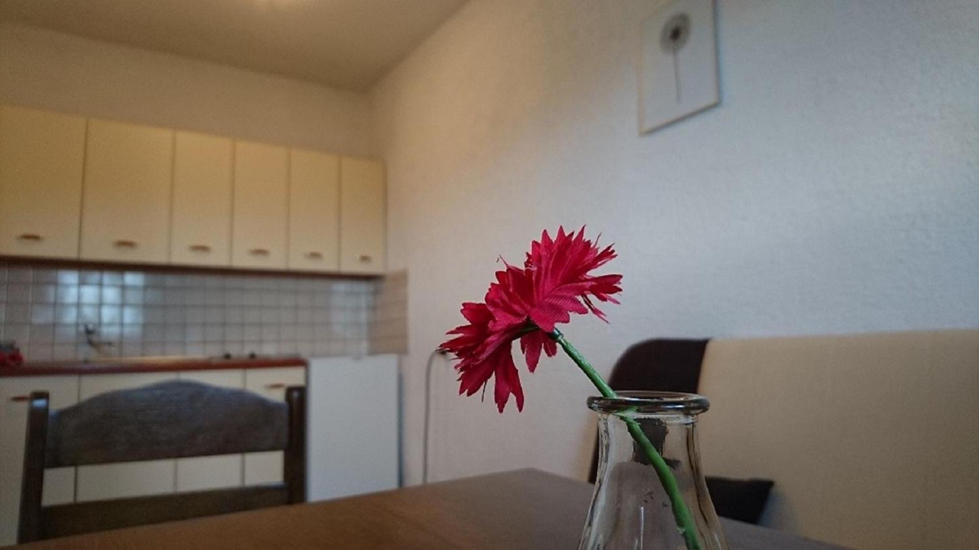 Apartments Monika ニン エクステリア 写真